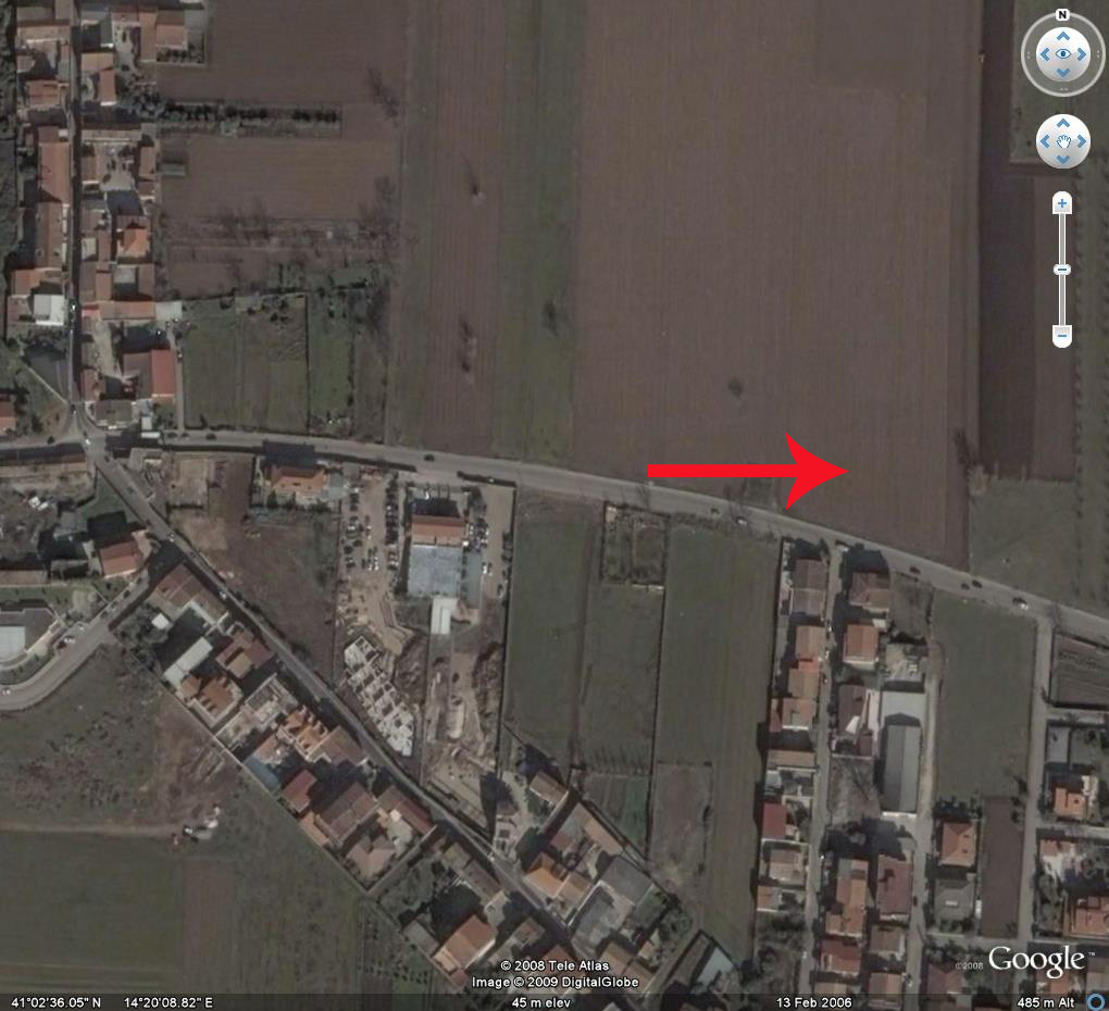 Volpe in pieno centro urbano - Spettacolo spiacevole